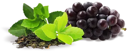 ZenCortex ingredient list image